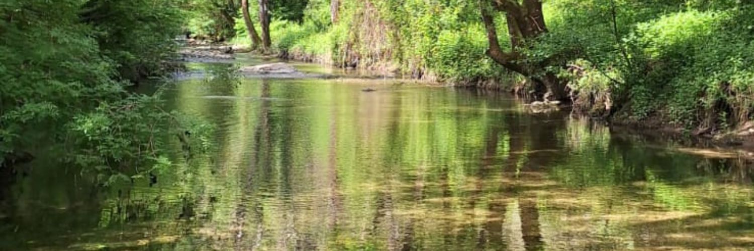 La brague à Biot