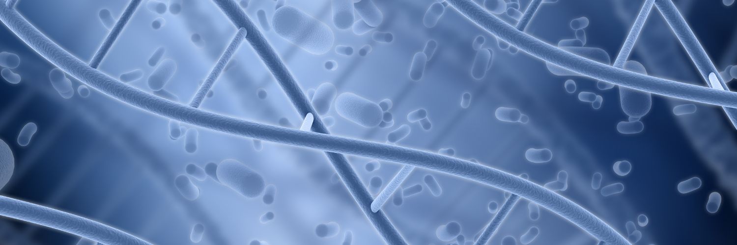 image du système cellulaire