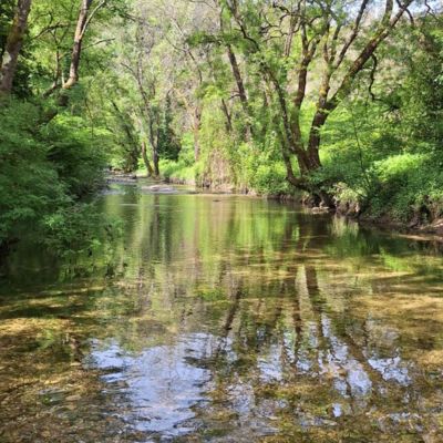Rivière ombragée de la brague à Biot